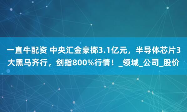 一直牛配资 中央汇金豪掷3.1亿元，半导体芯片3大黑马齐行，剑指800%行情！_领域_公司_股价