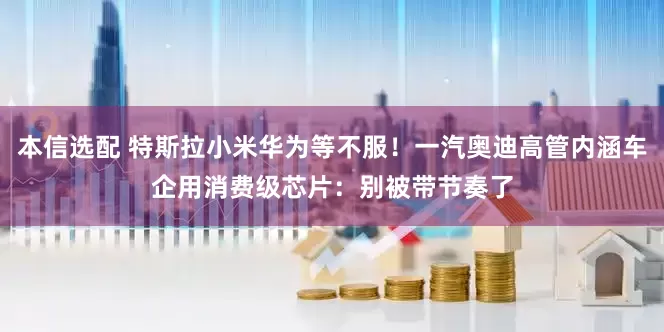 本信选配 特斯拉小米华为等不服！一汽奥迪高管内涵车企用消费级芯片：别被带节奏了