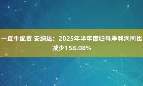 一直牛配资 安纳达：2025年半年度归母净利润同比减少158.08%